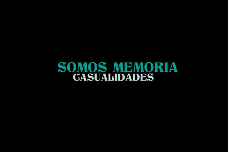 documenta somos casualidades boiguesfilms proyectos